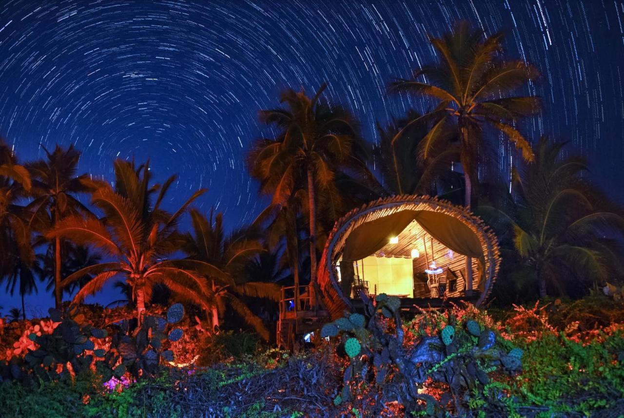 Playa Viva Otel Juluchuca Dış mekan fotoğraf