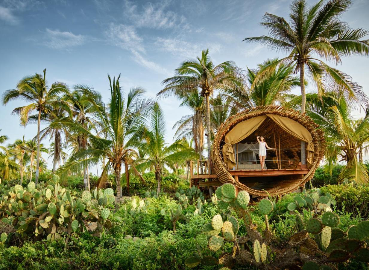 Playa Viva Otel Juluchuca Dış mekan fotoğraf